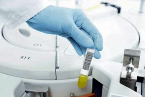 供卵价格高：鲜胚移植第五天有什么感觉知道着床？