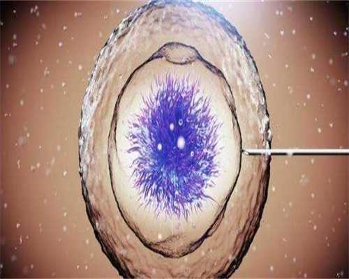 北京第三代靠谱代生价格付费方式有哪几种？附靠谱代生价格流程分析