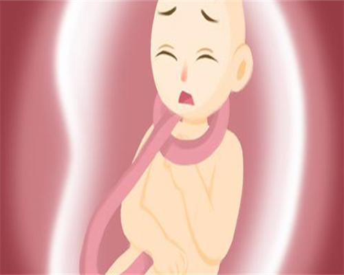 台湾做试管婴儿大约多少钱，来看看参考！