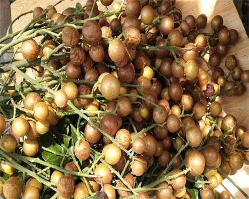 一言难尽的孕期全过程