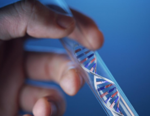 三代代生二胎吗为什么囊胚移植后胎儿基本停不下来？