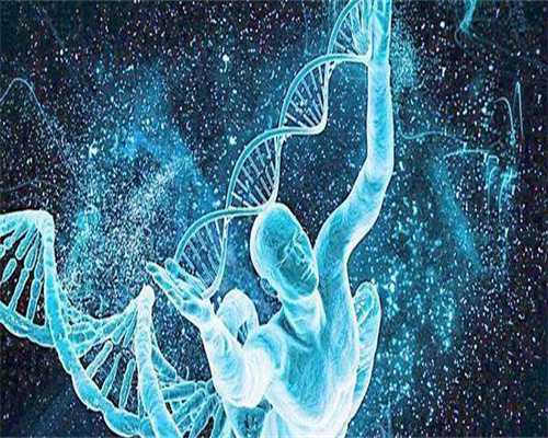 专业供卵网：备孕期间，男性也要补充叶酸吗？