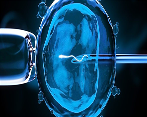 代孕套餐优惠：试管移植后便秘，这样做能缓解