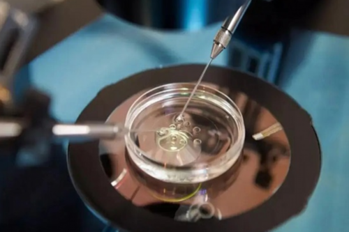 <strong>三言两拍故事：王娇鸾百年长恨（才女复仇记）</strong>