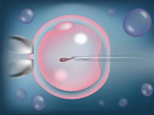 试管婴儿具体全过程！真实价格一览！