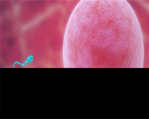 <strong>试管三代囊胚检测有风险吗！试管费用！</strong>