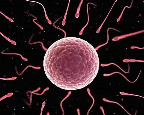 代生费用排名：破卵泡针打完多久排卵？