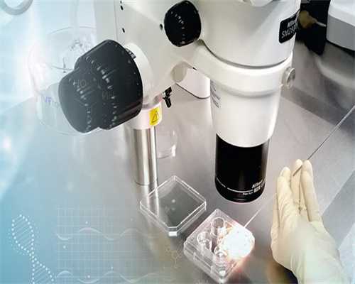 代生公司微信冻胚可以做染色体-冷冻胚胎可以查染色体吗