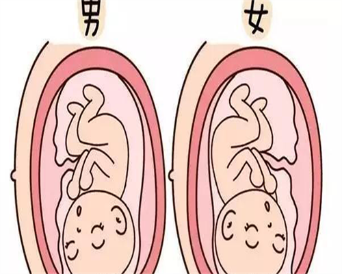 次世代试管供卵经验技术，第三代与第二代试管供卵经验的比较