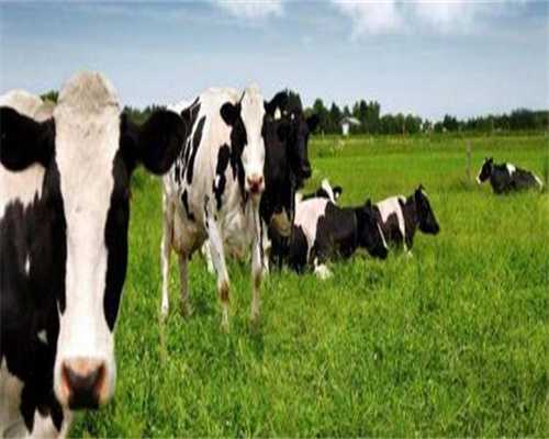 朝阳三代试管婴儿的费用大约是多少