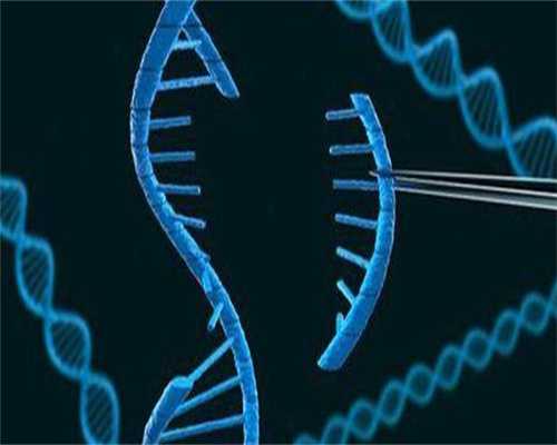 助孕网成功率：想生女孩的科学方法