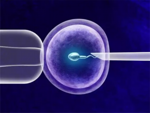 佛山生殖中心正规代生包性别成功率高吗