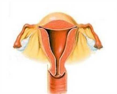 邯郸代生子的女人有吗医院比较新排行榜,这3家任你选