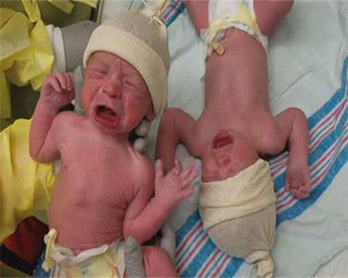 代生网选性别：胚胎移植后成功的征兆有些什么？